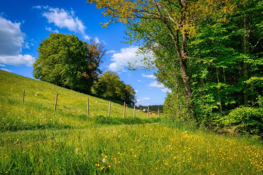 Aménagement jardin en pente