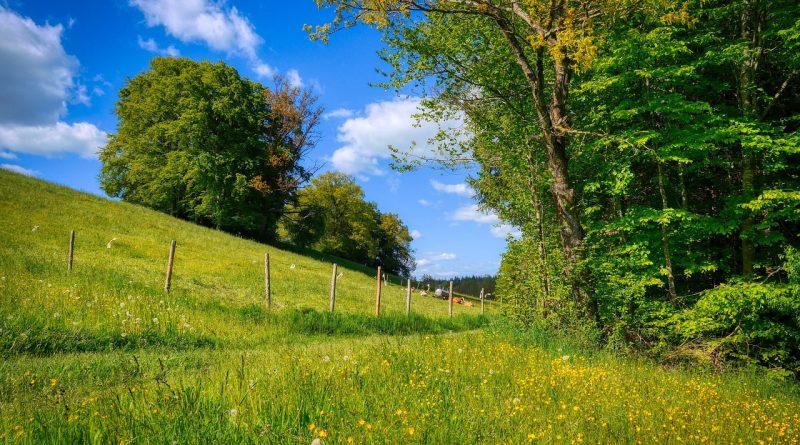 Aménagement jardin en pente